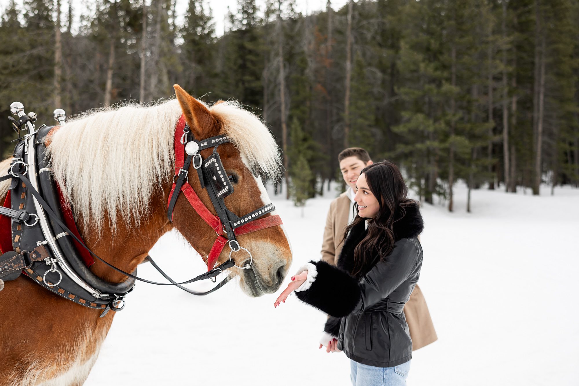 Romantic Sleigh Ride Proposal with Colorado Lifestyle Photography, a Breckenridge Engagement Photographer