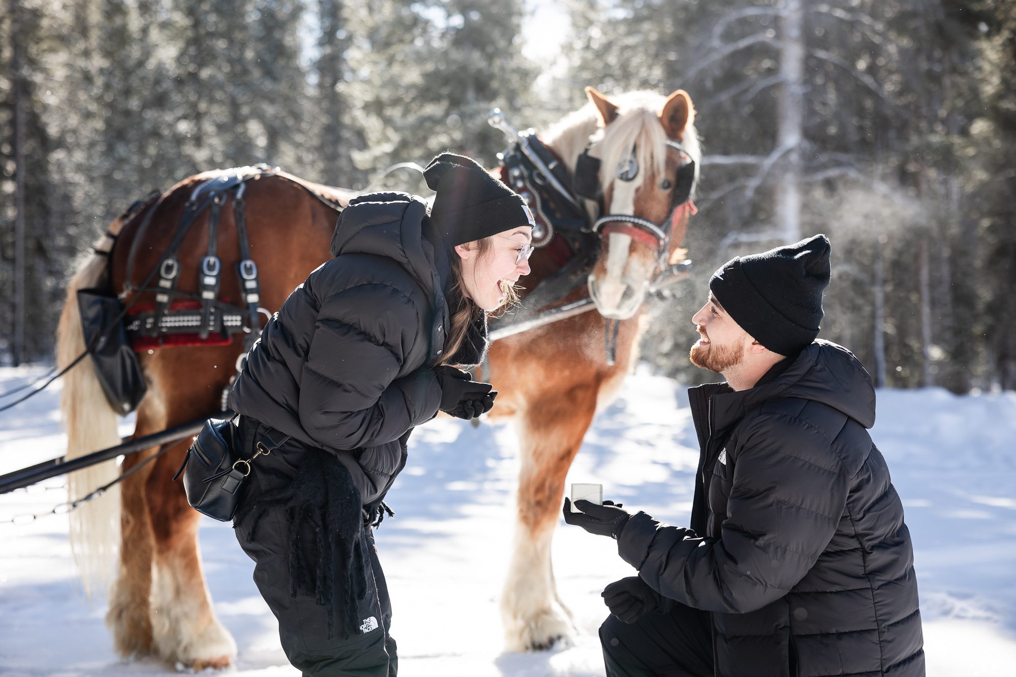 Surprise Proposal at Golden Horseshoe Sleigh Rides with Colorado Lifestyle Photography, a Breckenridge Engagement Photographer