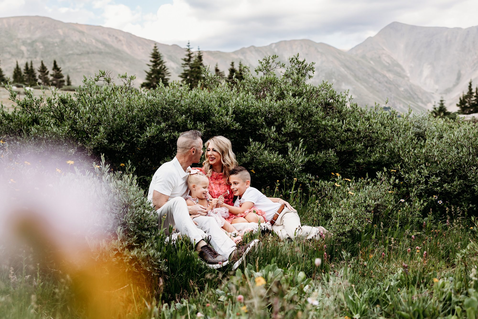 Family Pictures in the Wildflowers at Loveland Pass with Colorado Lifestyle Photography